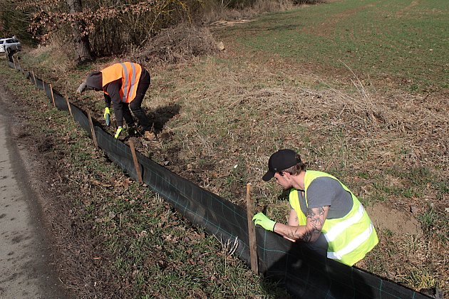 Dobrovolníci z Krusičan zachránili před jistou smrtí už téměř 600 životů
