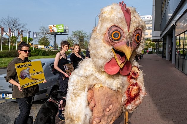 Soud rozhodne o žalobě Rabbitu Trhový Štěpánov a Alberta na spolek Obraz