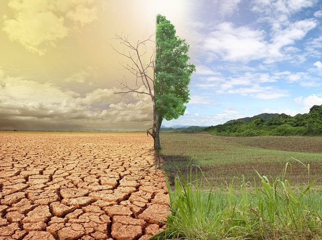 Jak se Češi dívají na změny klimatu? Data ukazují, že patří v EU mezi skeptiky
