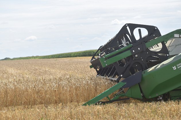 Žně ve středních Čechách komplikuje zemědělcům deštivé léto