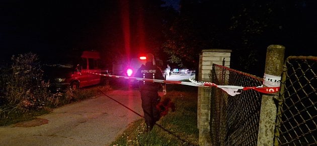 Uprchlý lev se rozběhl proti policistům. Z klece se předtím podhrabal