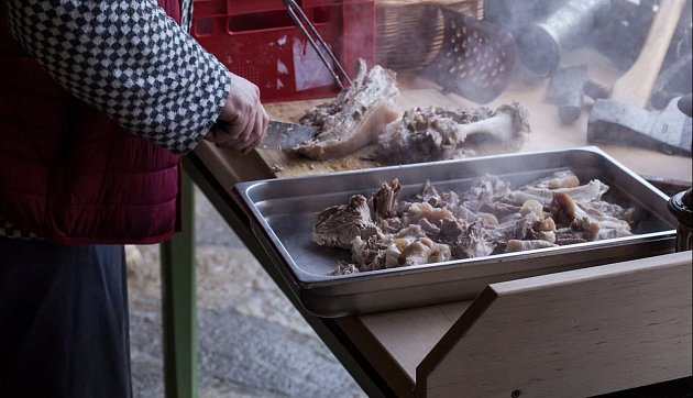 Kam za kulturou a zábavou na Benešovsku na konci ledna