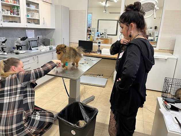 Školní veterinární ordinace zemědělské školy se otevřela i pro veřejnost