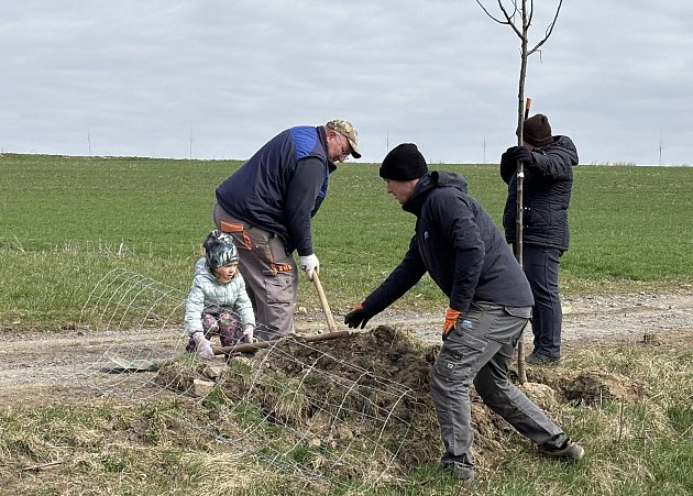 Nové aleje na Benešovsku: Sázeli je místní i dobrovolníci