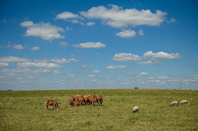 Kde koupit farmářské produkty z Benešovska? Farmáři nově přehledně na Facebooku