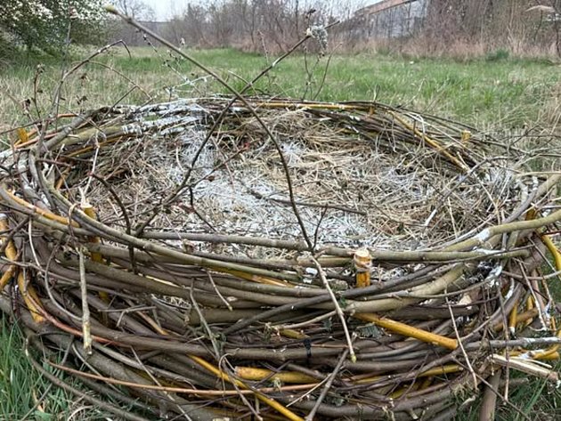 Návrat čápů do Vlašimi: lidé jim postavili nový domov